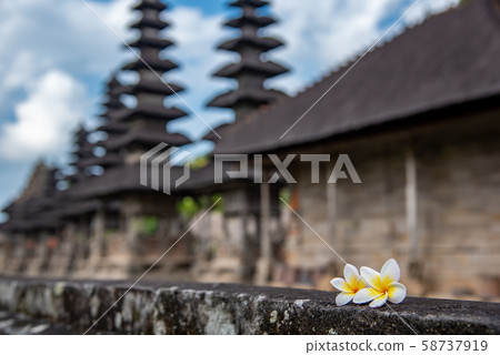 Bali's world heritage Merman of Taman Ayun Temple, Bali's leading flower, Frangipani Plumeria Bali's world heritage Merman of Taman Ayun Temple, Bali's leading flower, Frangipani Plumeria 58737919
