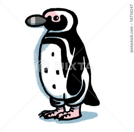 Magellan penguin Magellan penguin 58738247