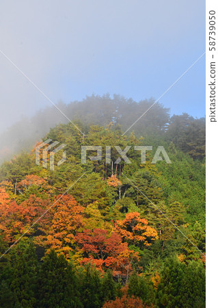 Autumn mountains 58739050