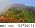 Autumn mountains 58739051