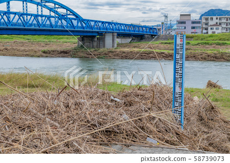 Kanogawa, Izunokuni, Shizuoka Pref. Water level gauge and drifting trash after typhoon passage Kanogawa, Izunokuni, Shizuoka Pref. Water level gauge and drifting trash after typhoon passage 58739073