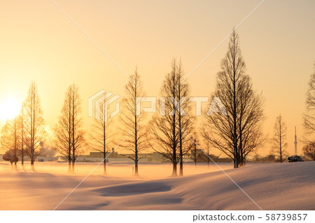 白雪皚皚的荒川河床,日出和美麗的雪景,冬天 白雪皚皚的荒川河床,日出和美麗的雪景,冬天 58739857