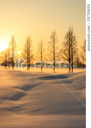 白雪皚皚的荒川河床,日出和美麗的雪景,冬天 白雪皚皚的荒川河床,日出和美麗的雪景,冬天 58739858