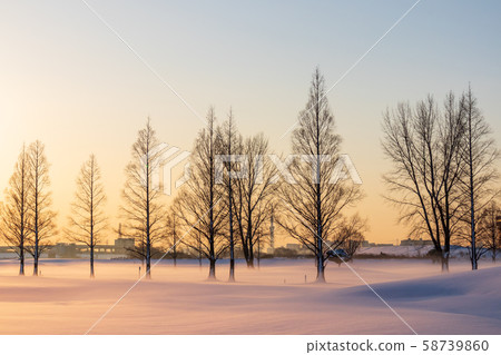 白雪皚皚的荒川河床,日出和美麗的雪景,冬天 白雪皚皚的荒川河床,日出和美麗的雪景,冬天 58739860
