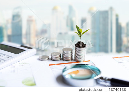 The tree  growing on money coin stack 58740188