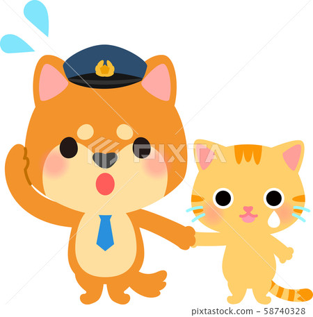 Crying kitten and dog in trouble 58740328