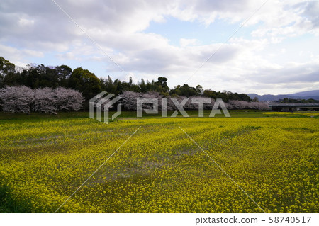 太宰府市水木城遺址水木 太宰府市水木城遺址水木 58740517