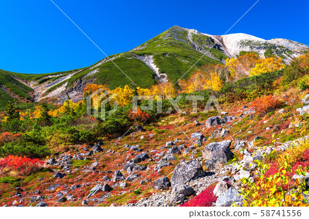 《Nagano Prefecture》Autumn leaves Norikura and natural scenery 58741556