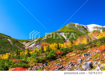 《Nagano Prefecture》Autumn leaves Norikura and natural scenery 58741557