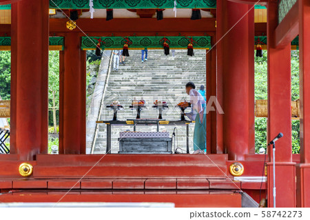 [Kanagawa Prefecture] Kamakura Tsuruoka Hachimangu Shrine 58742273