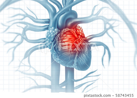 Cardiovascular Disease - Stock Illustration [58743455] - PIXTA