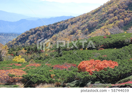 Autumn leaves of Norikura-dake Autumn leaves of Norikura-dake 58744039