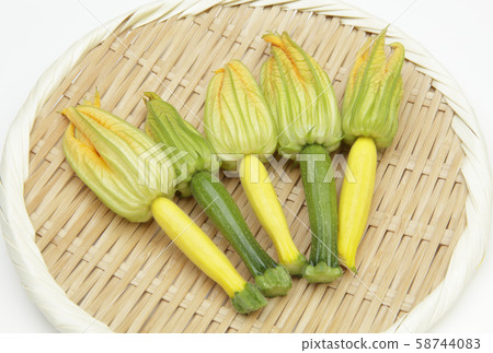 花西葫蘆 58744083