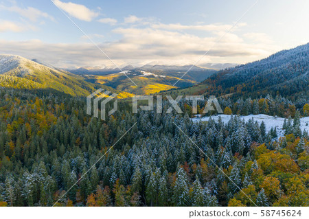 AERIAL: Flight Over Foggy Autumn Colourful Forests. 58745624