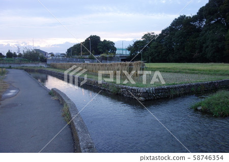 A country scene in autumn of Japan 58746354