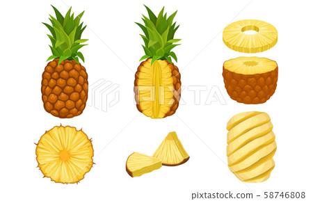 Pineapple Fruit Vector Isolated Set. Fresh Exotic Fruit Cut Into Slices and Halves 58746808