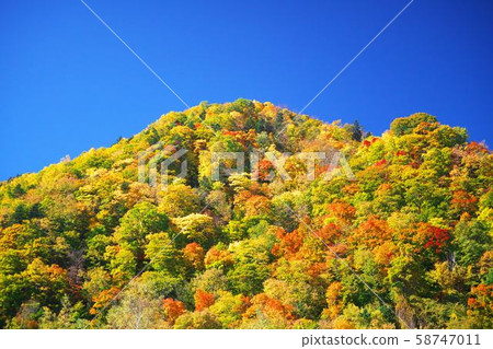 Late autumn of Toyohira Gorge Late autumn of Toyohira Gorge 58747011