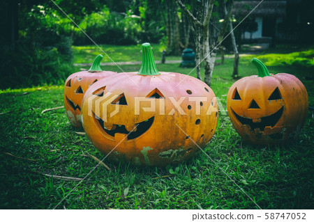 Halloween pumpkins on lawn and halloween 58747052