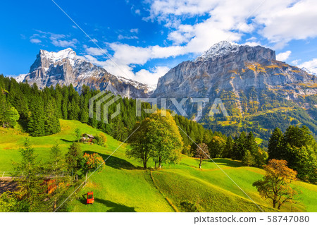 Grindelwald, Switzerland village and mountains view Grindelwald, Switzerland village and mountains view 58747080