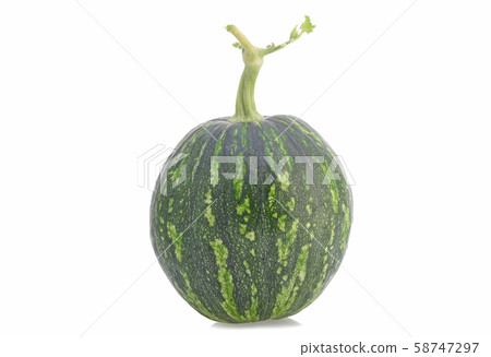 Japanese green pumpkin on white background Japanese green pumpkin on white background 58747297