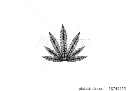 hand drawn cannabis leaf logo Designs Inspiration hand drawn cannabis leaf logo Designs Inspiration 58749255