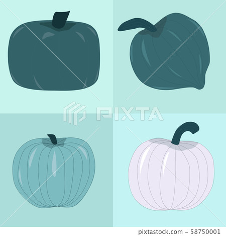 Different types of blue pumpkins. Unique varieties of winter/fall squashes. Vector Illustration. Different types of blue pumpkins. Unique varieties of winter/fall squashes. Vector Illustration. 58750001