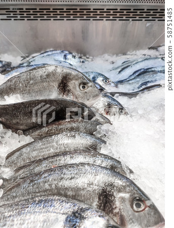 Sea bream Sparus aurata on ice at the seafood booth. Dorada fish or gilt-head bream on ice 58751485