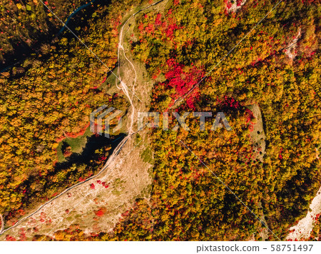Aerial view of autumn forest and trail in mountains 58751497