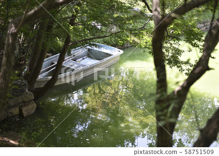Gyeongju wolji anapji landscape 58751509