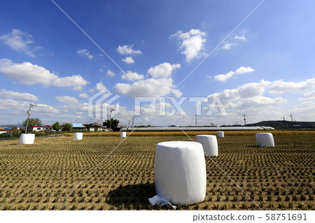 收割，秋日的田野，曬傷 58751691