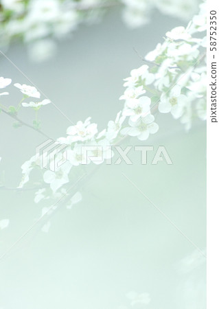 花木雪奈 花木雪奈 58752350