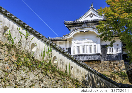 Bitchu Matsuyama城堡 58752624