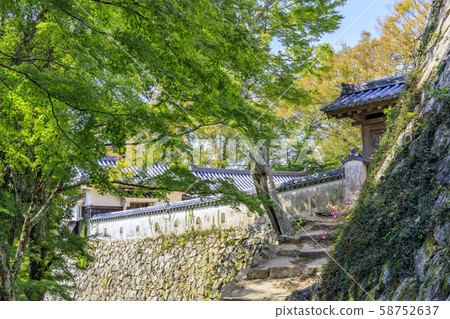 Bitchu Matsuyama城堡 58752637