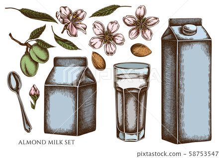 Vector set of hand drawn colored almond, glass, milk boxes, teaspoon Vector set of hand drawn colored almond, glass, milk boxes, teaspoon 58753547