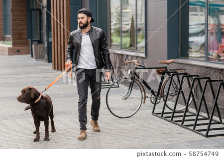 Handsome guy in casualwear holding leash while taking walk with his pet Handsome guy in casualwear holding leash while taking walk with his pet 58754749