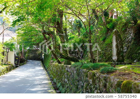 Seogenji Temple 58755340