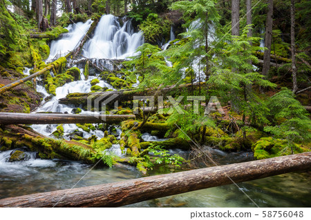 Waterfall in the forest Waterfall in the forest 58756048