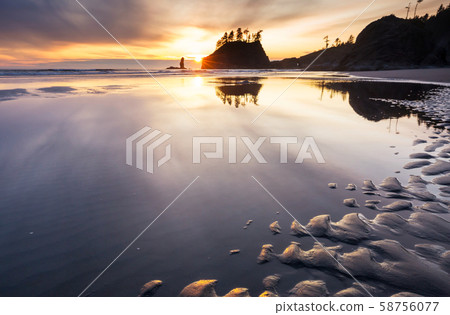 Olympik coast Olympik coast 58756077