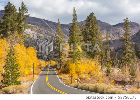 Autumn road Autumn road 58756175