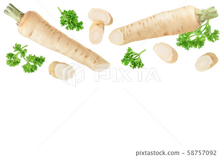 Parsley root with slices and leaves isolated on white background with copy space for your text. Top Parsley root with slices and leaves isolated on white background with copy space for your text. Top 58757092