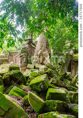 塔普倫遺址景觀 58757808