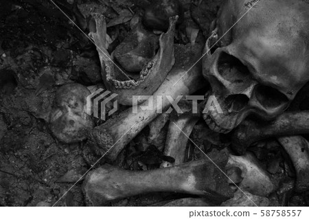 Skull and bones buried dug from a pit Skull and bones buried dug from a pit 58758557