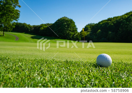 The contrast between a golf ball and the grass on a golf course. The contrast between a golf ball and the grass on a golf course. 58758906