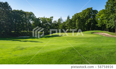 The fairway and green of a golf course 58758916