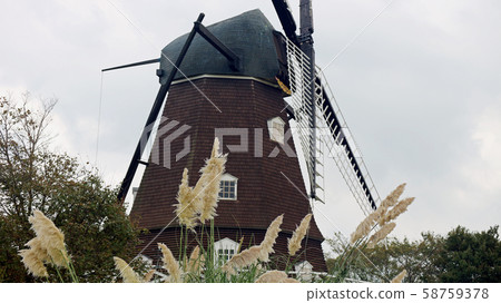 Pampas glass and water wheel Pampas glass and water wheel 58759378