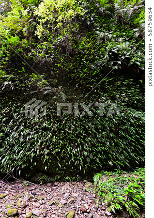 Itaoki-dong Itaoki-dong 58759634