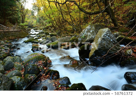 River River 58761372