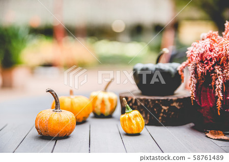 Halloween, halloween, pumpkin, event Halloween, halloween, pumpkin, event 58761489