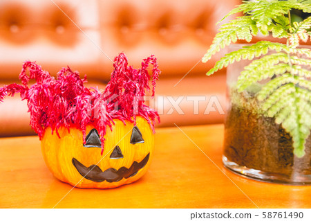 Halloween, halloween, pumpkin, event Halloween, halloween, pumpkin, event 58761490