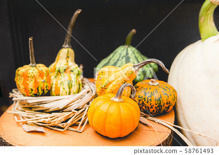 Halloween, halloween, pumpkin, event 58761493